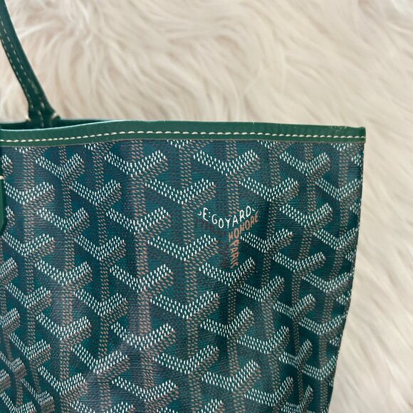 GOYARD Saint Louis PM in Green with Pouch - Picture 4 of 15